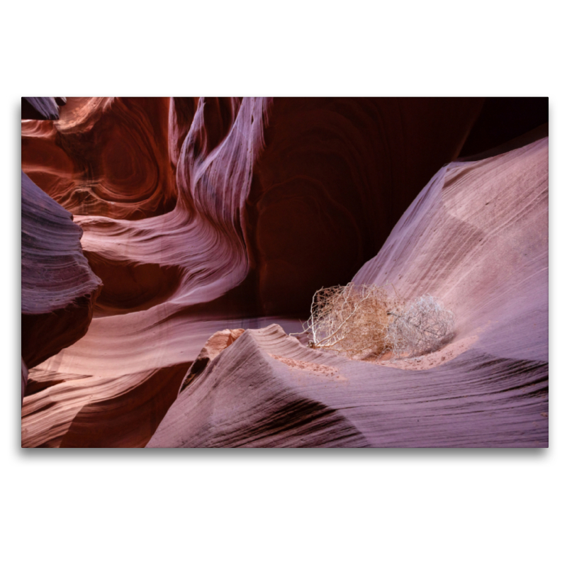 Lower Antelope Canyon