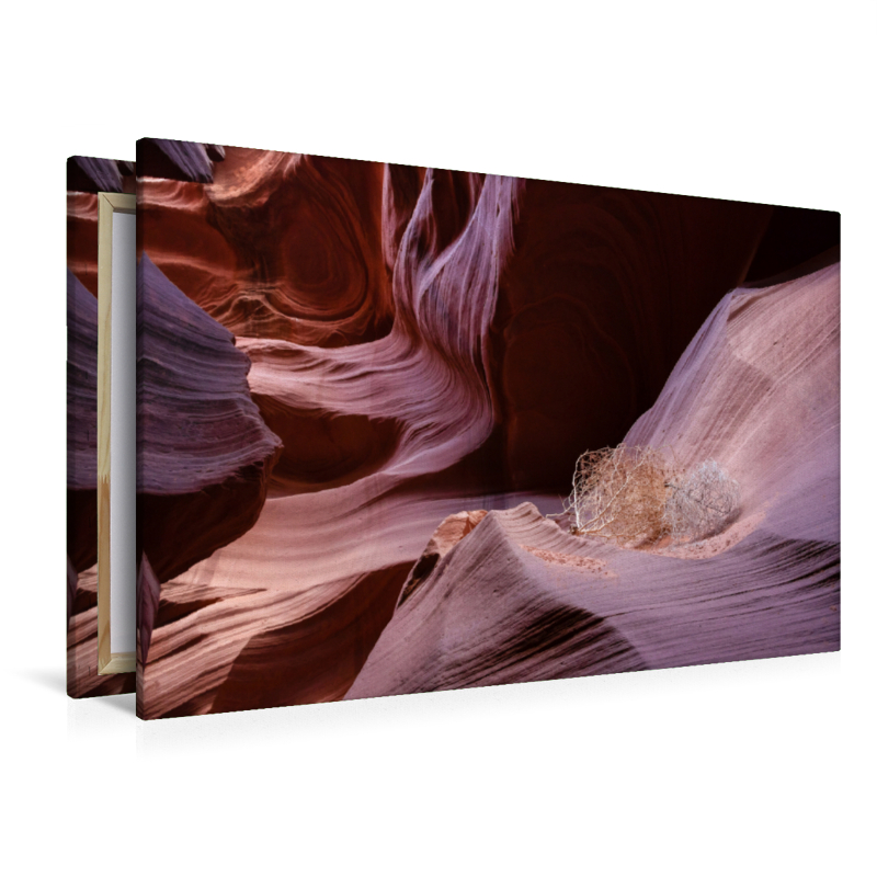 Lower Antelope Canyon