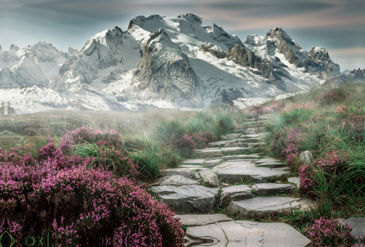 schneebedeckte Berglandschaft