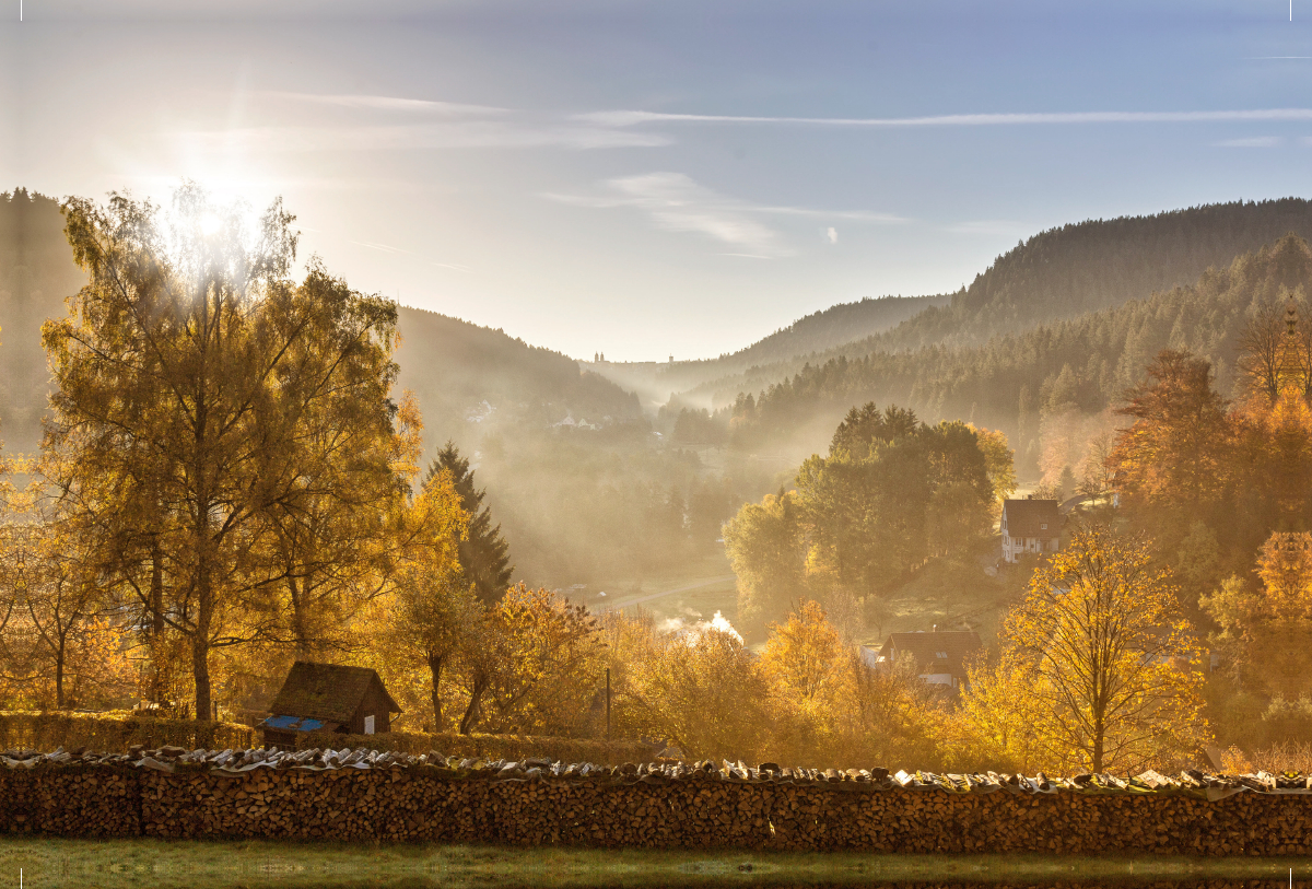 Forbachtalblick Richtung Freudenstadt