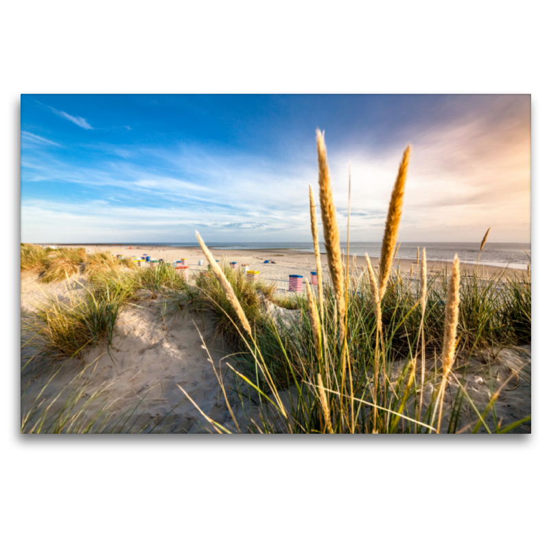 Strandhafer am Südstrand