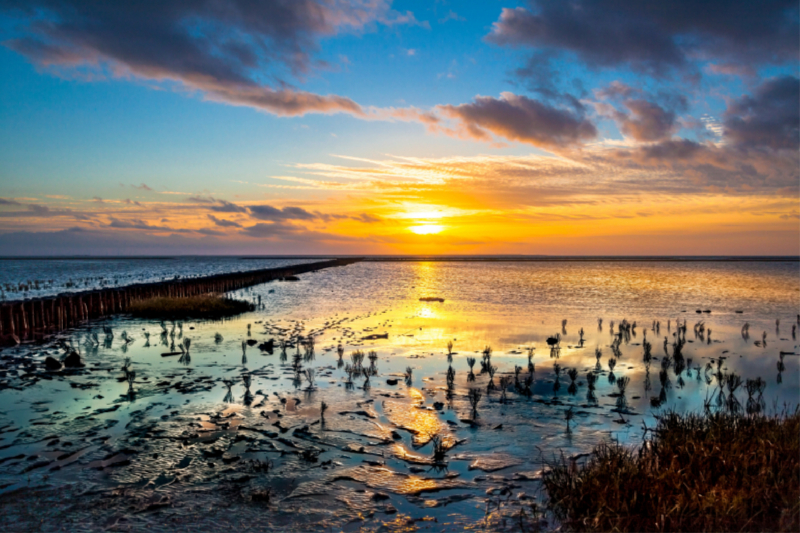 Das Wattenmeer bei Utlandshörn