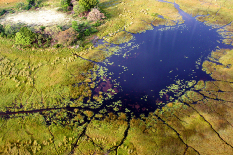 Wasserloch am Cubango River