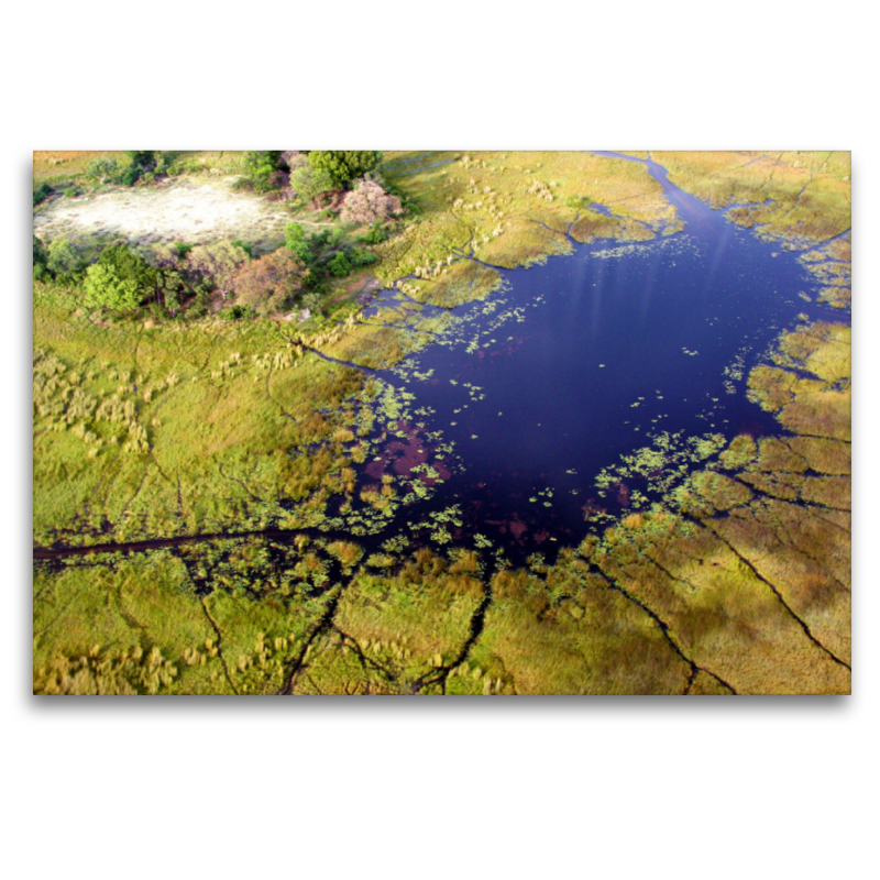 Wasserloch am Cubango River