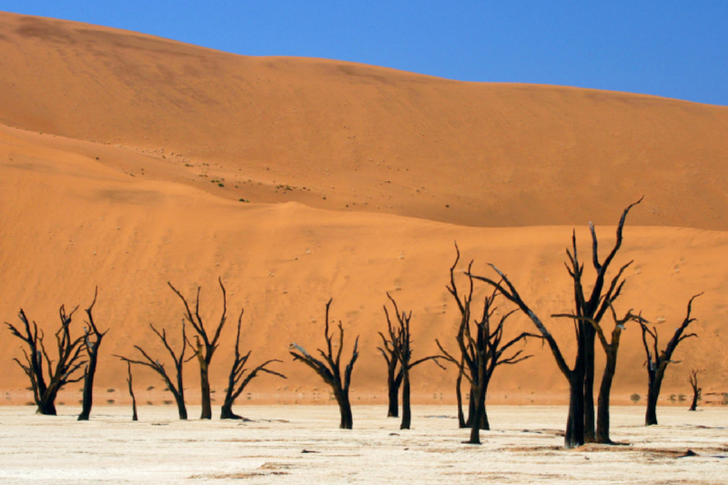 Dead Vlei