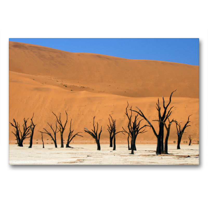 Dead Vlei