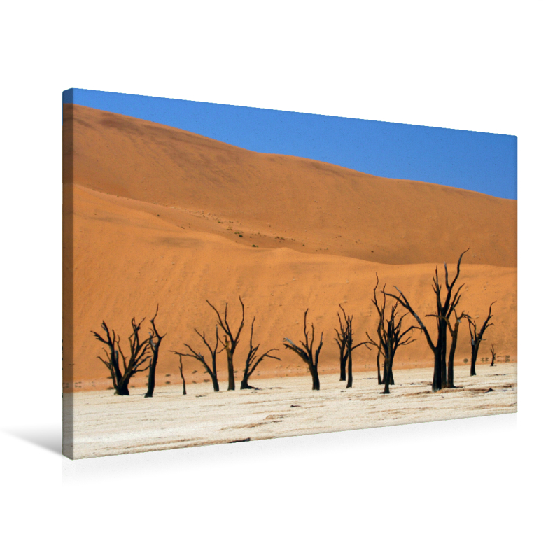 Leinwand Dead Vlei