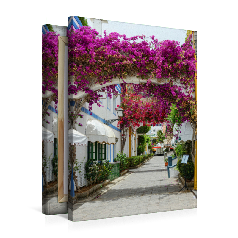 Bougainvillea in Puerto de Mogan at Gran Canaria.