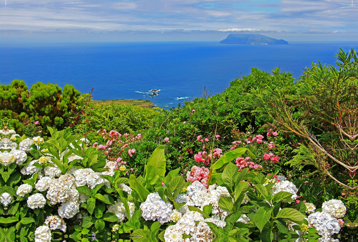 Steilküste mit Blick auf Corvo auf der Azoren-Insel Flores