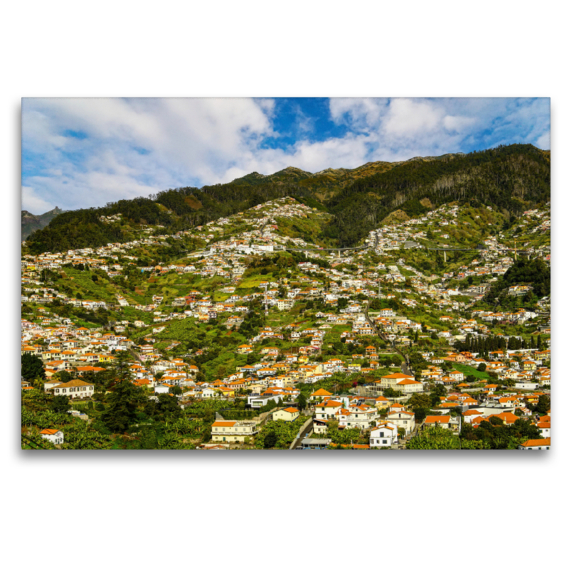 Blick vom Santo Antônio auf die Hänge von Funchal