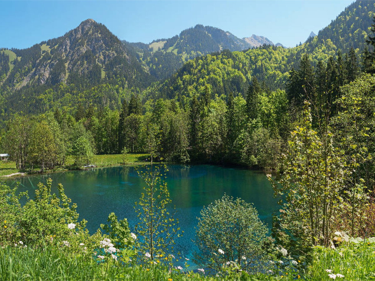 Christlessee im Trettachtal