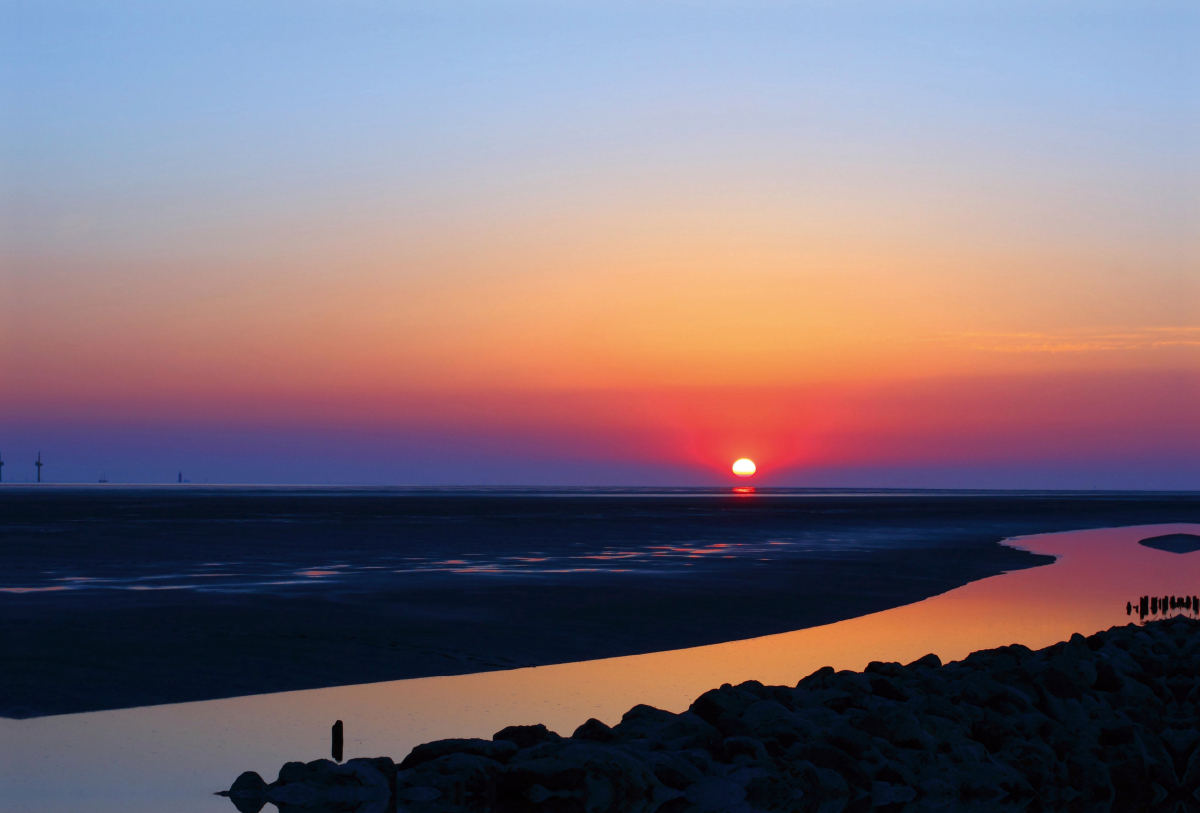 Weltnaturerbe Wattenmeer (3)