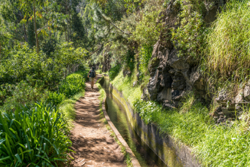 Levada Ribeira de Janela