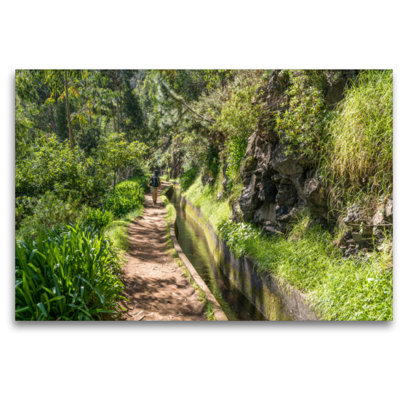 Levada Ribeira de Janela