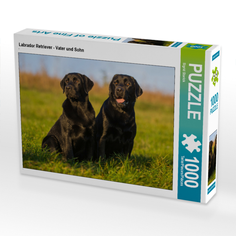 Labrador Retriever - Vater und Sohn