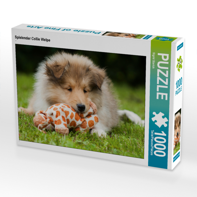 Spielender Collie Welpe