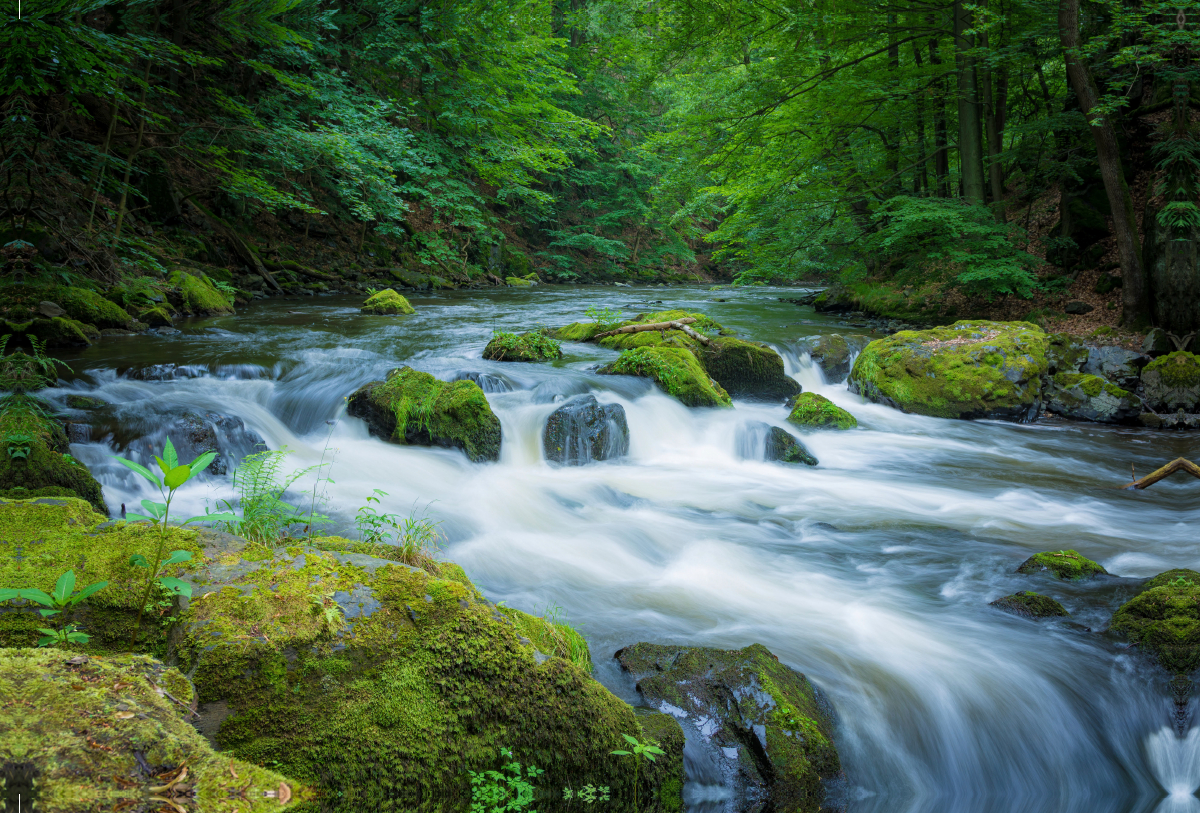 Bodetal bei Thale