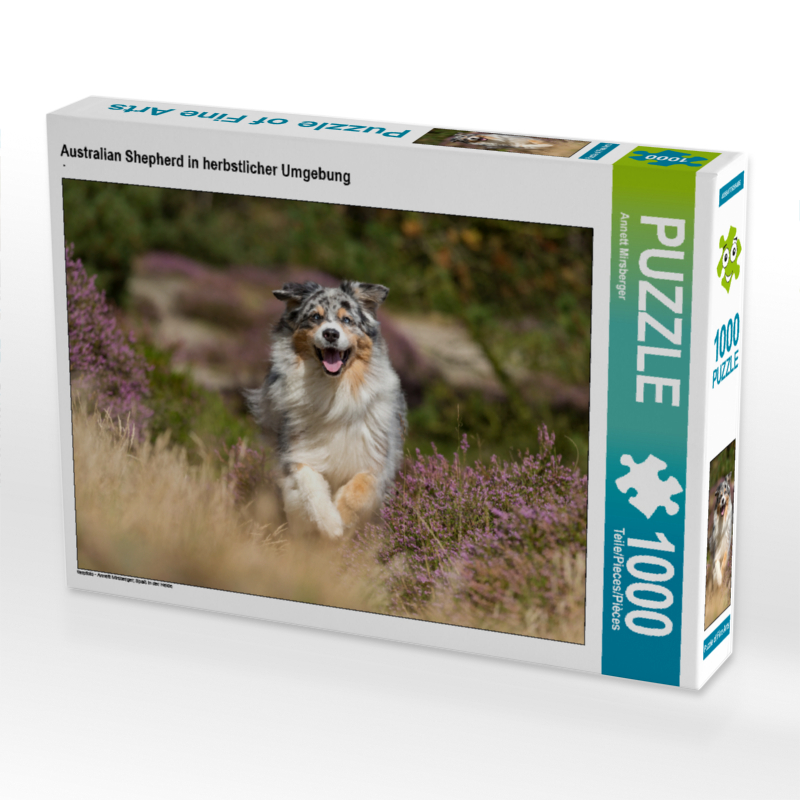 Australian Shepherd in herbstlicher Umgebung