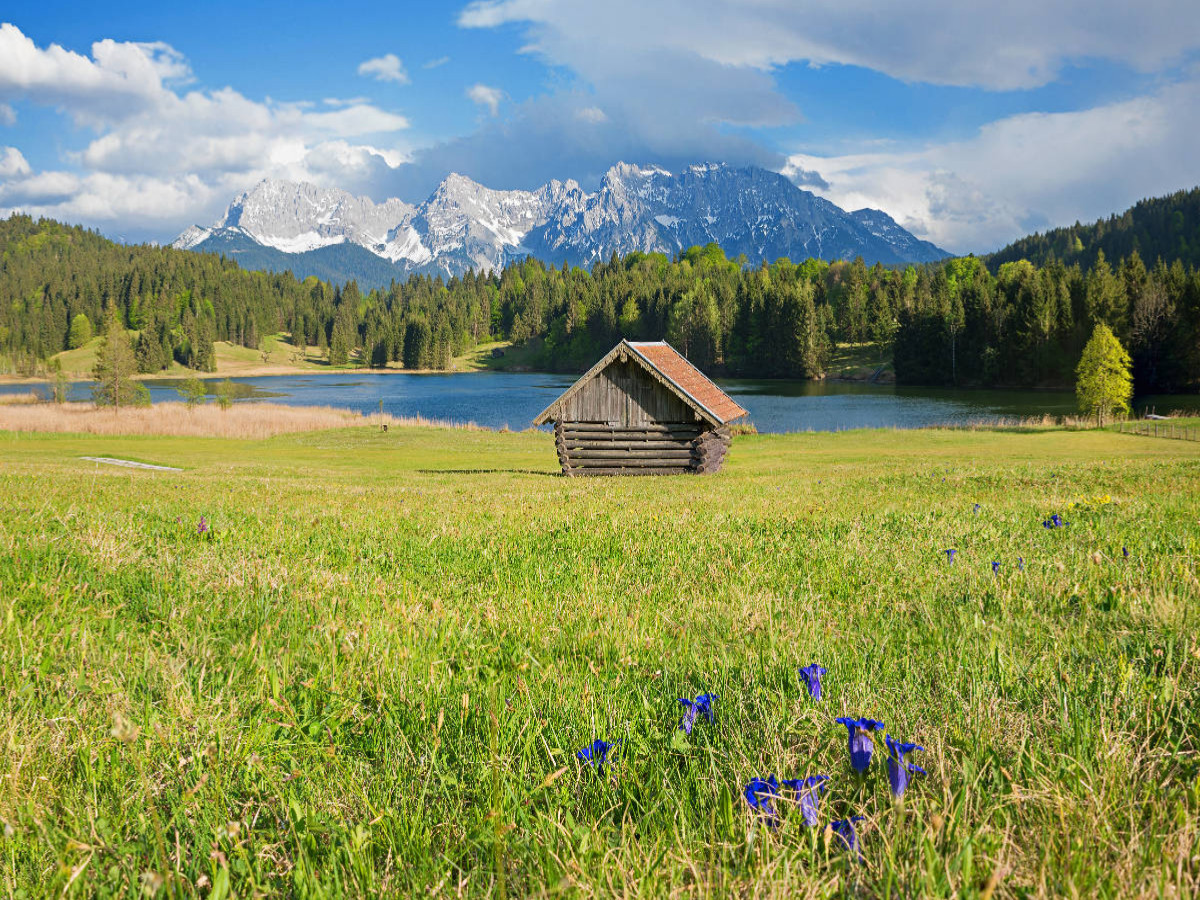Enzianwiese am Geroldsee