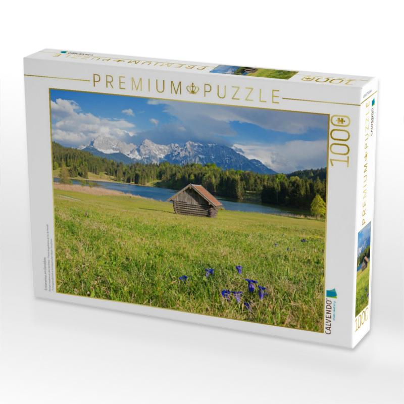 Enzianwiese am Geroldsee
