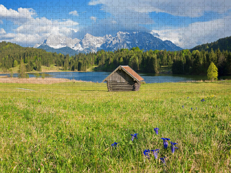 Enzianwiese am Geroldsee
