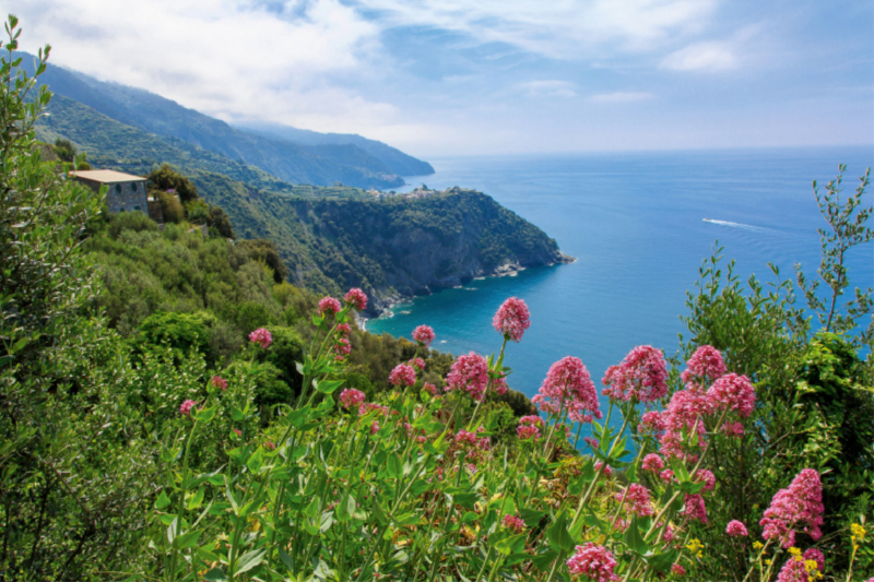 Trail östlich von Vernazza