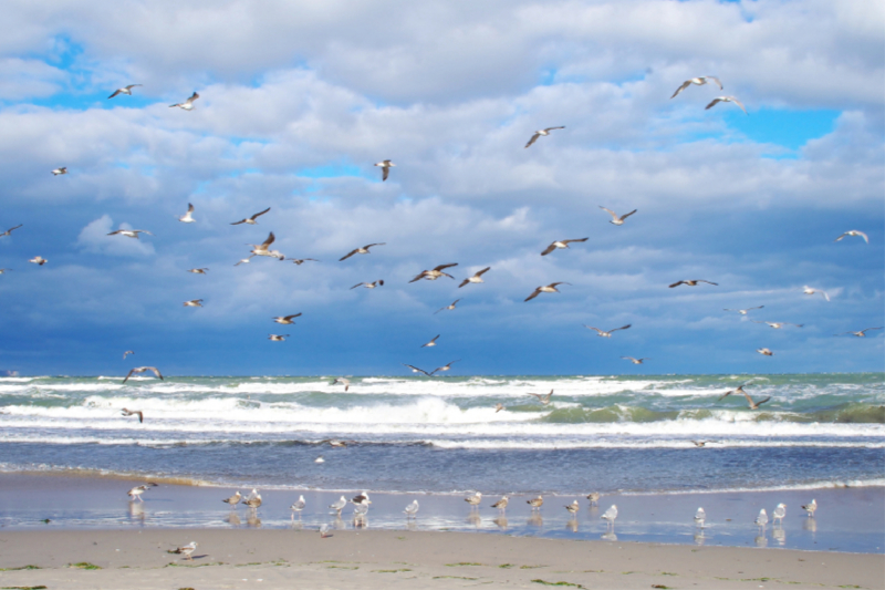 Die Insel Rügen bei Sturm