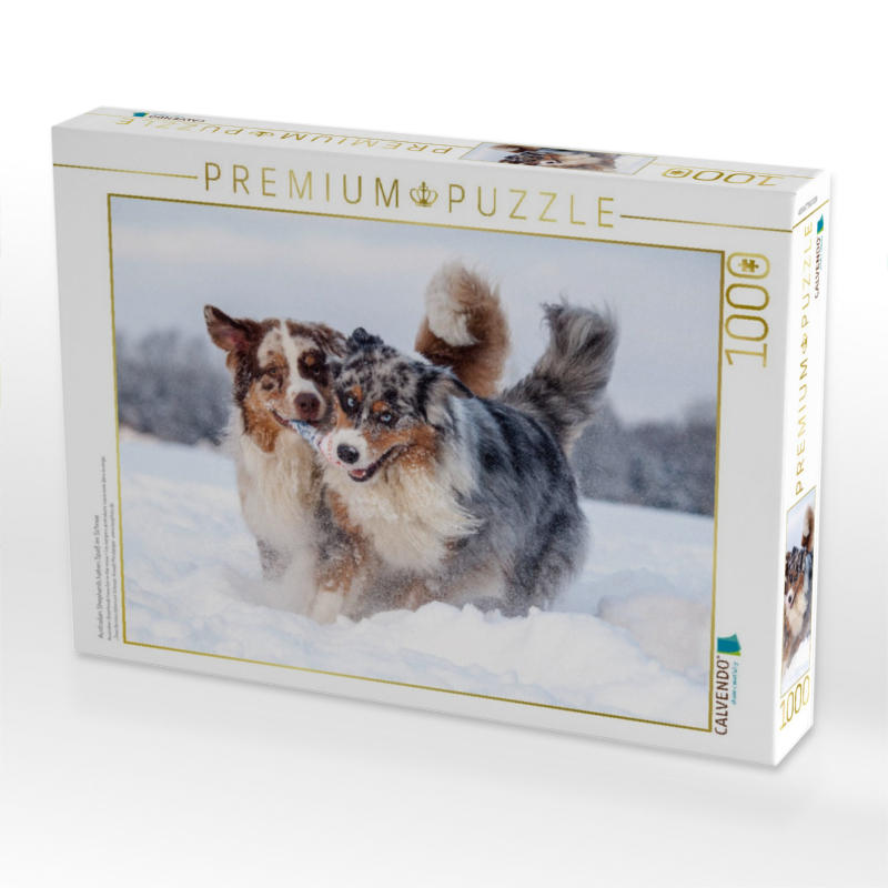 Australian Shepherds haben Spaß im Schnee