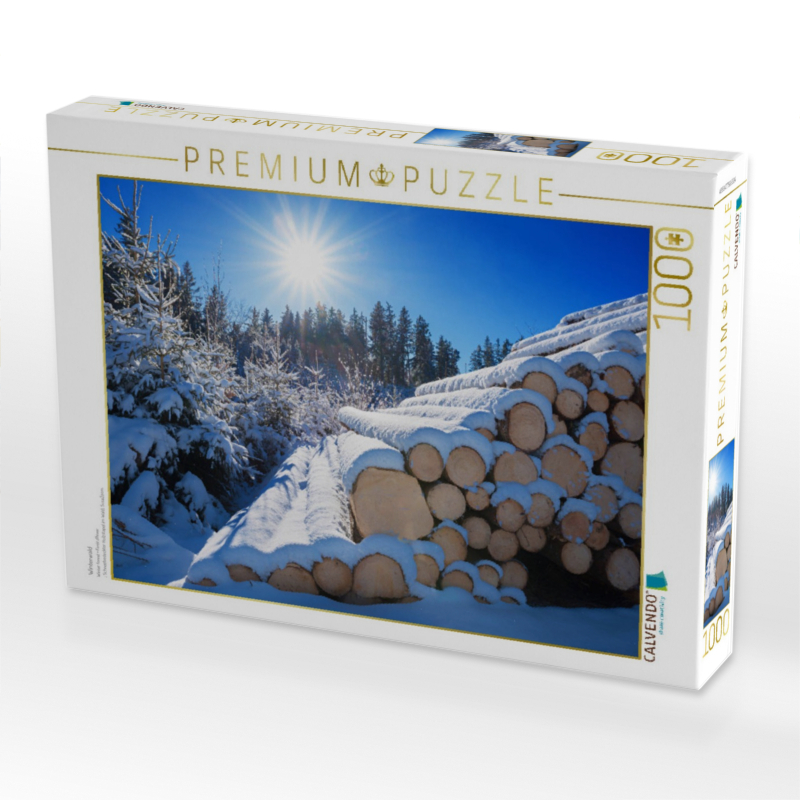Winterwald