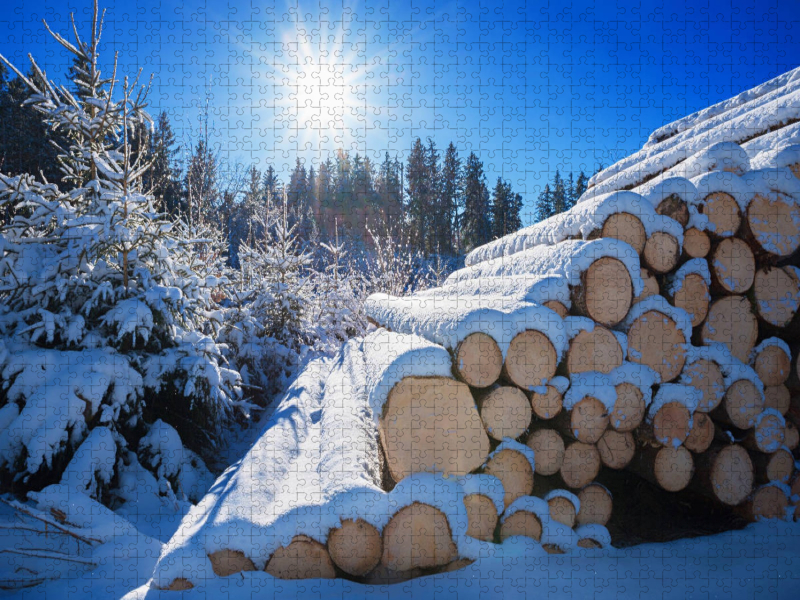 Winterwald