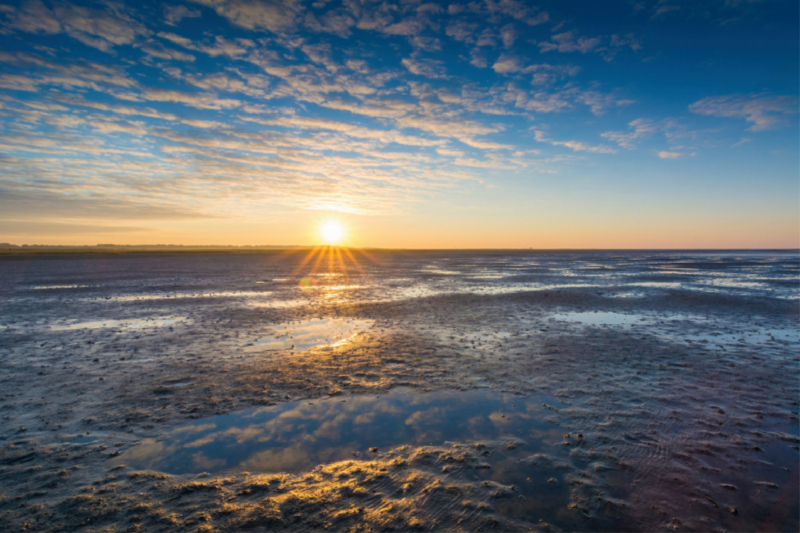 Sonnenaufgang am Watt