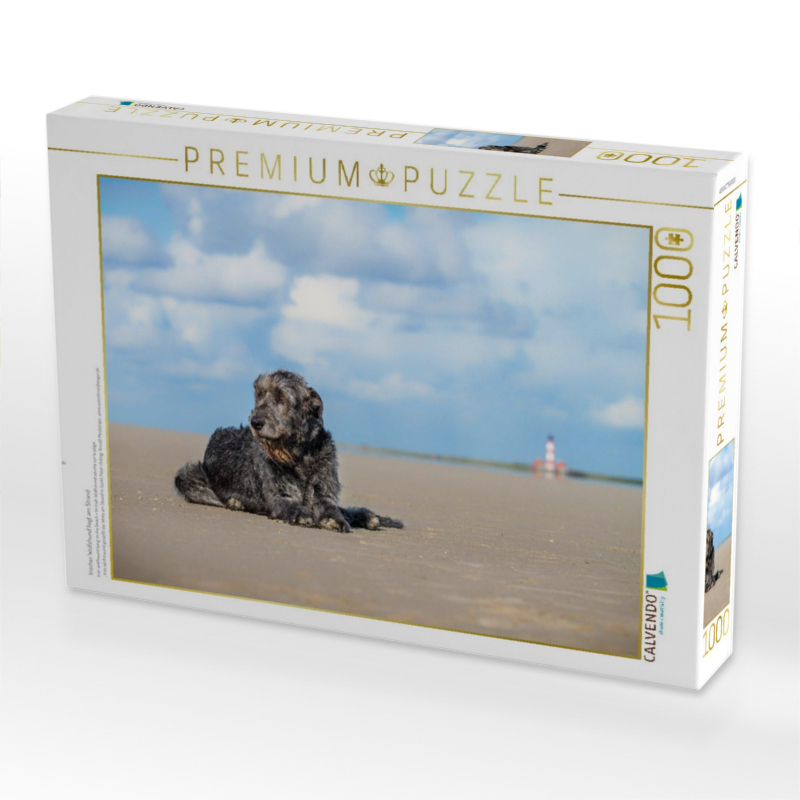 Irischer Wolfshund liegt am Strand