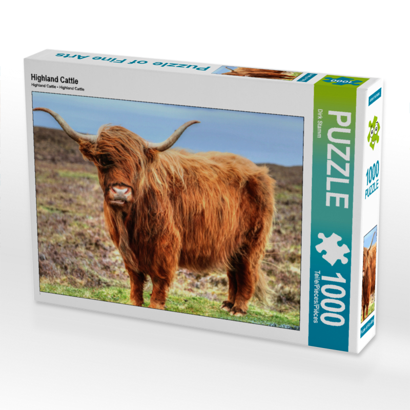 Highland Cattle