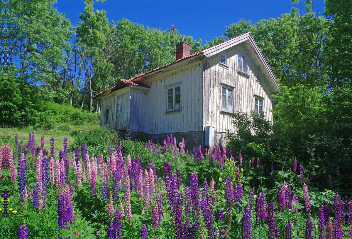 Verlassenes Haus in Dalsland