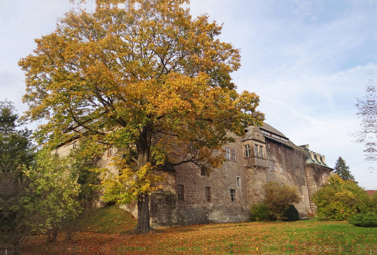 Schloss Burgscheidungen/Sachsen-Anhalt