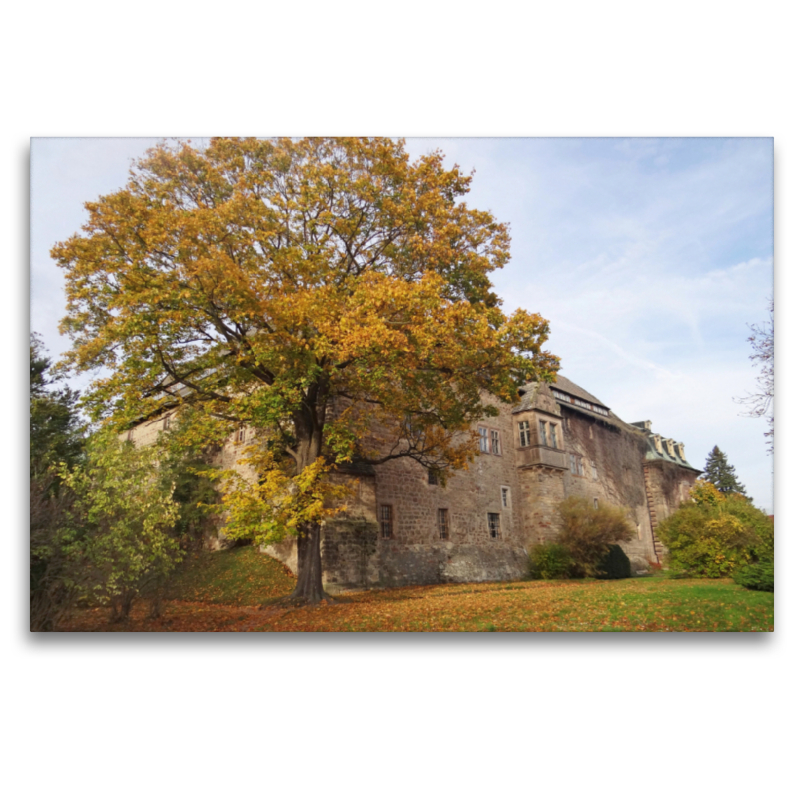 Schloss Burgscheidungen/Sachsen-Anhalt