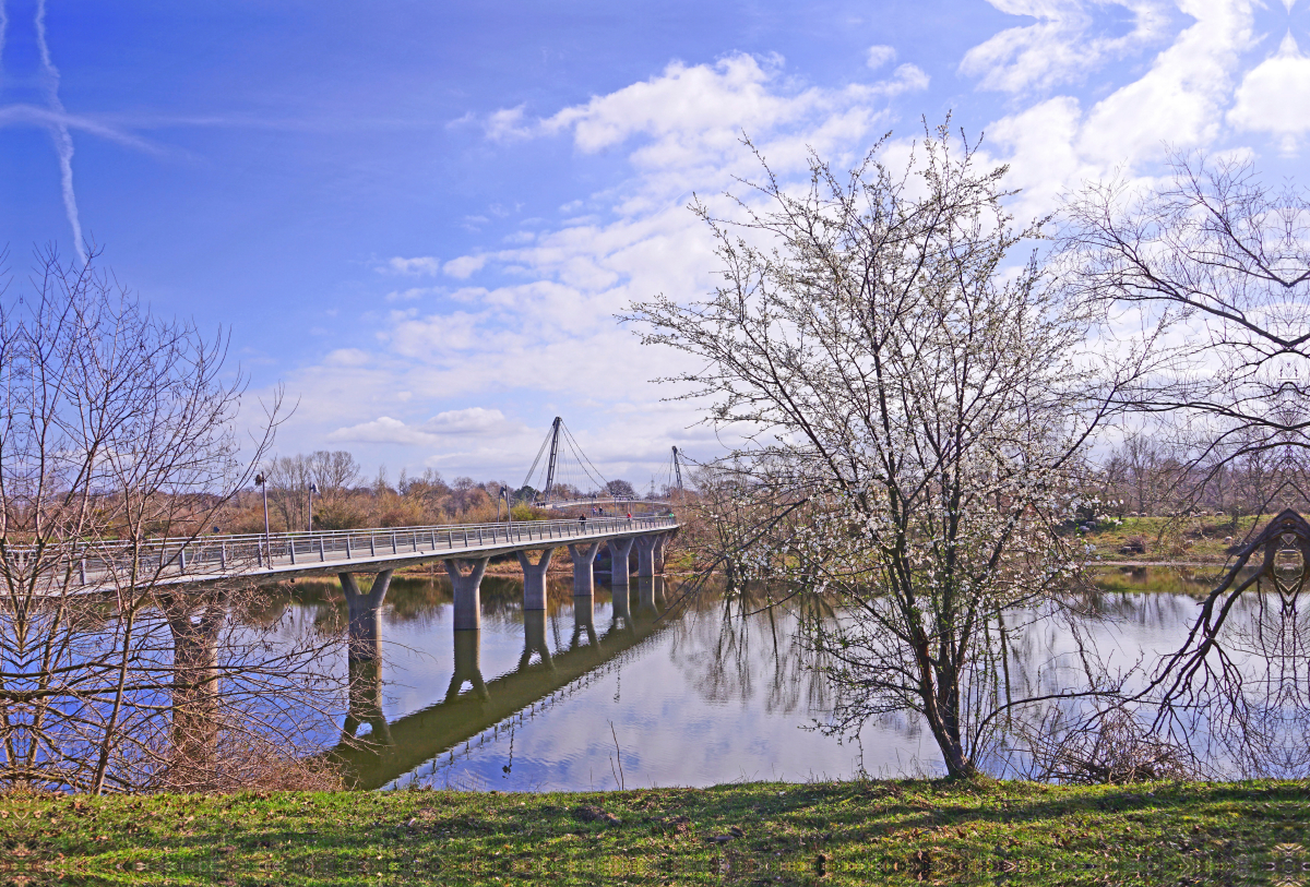 Herrenkrugbrücke in Magdeburg über die Elbe