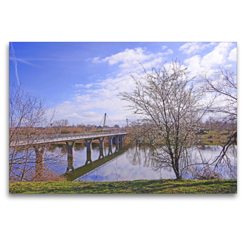 Herrenkrugbrücke in Magdeburg über die Elbe