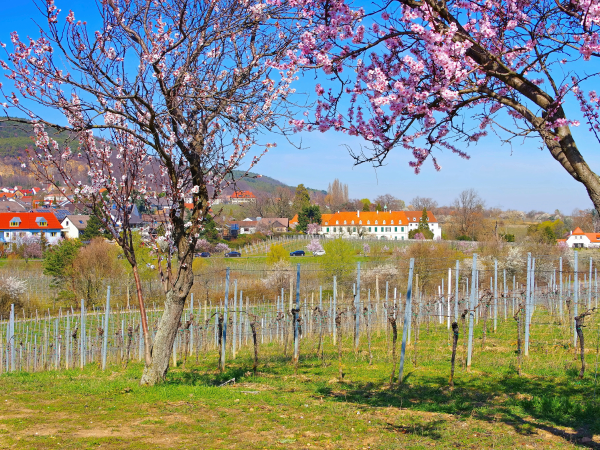 Ehemaliges Kloster Hildebrandseck