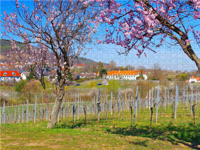 Ehemaliges Kloster Hildebrandseck