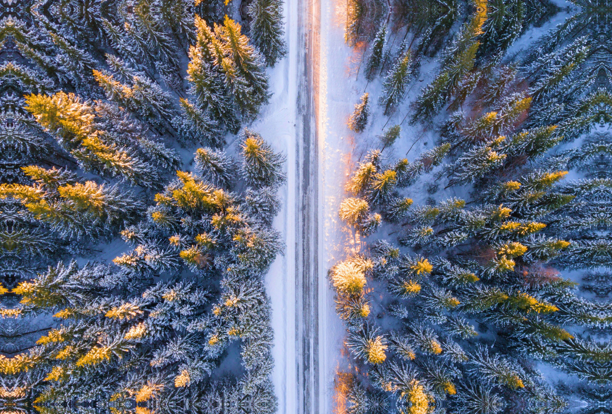 Winterwald im Morgenlicht aus der Vogelperspektive