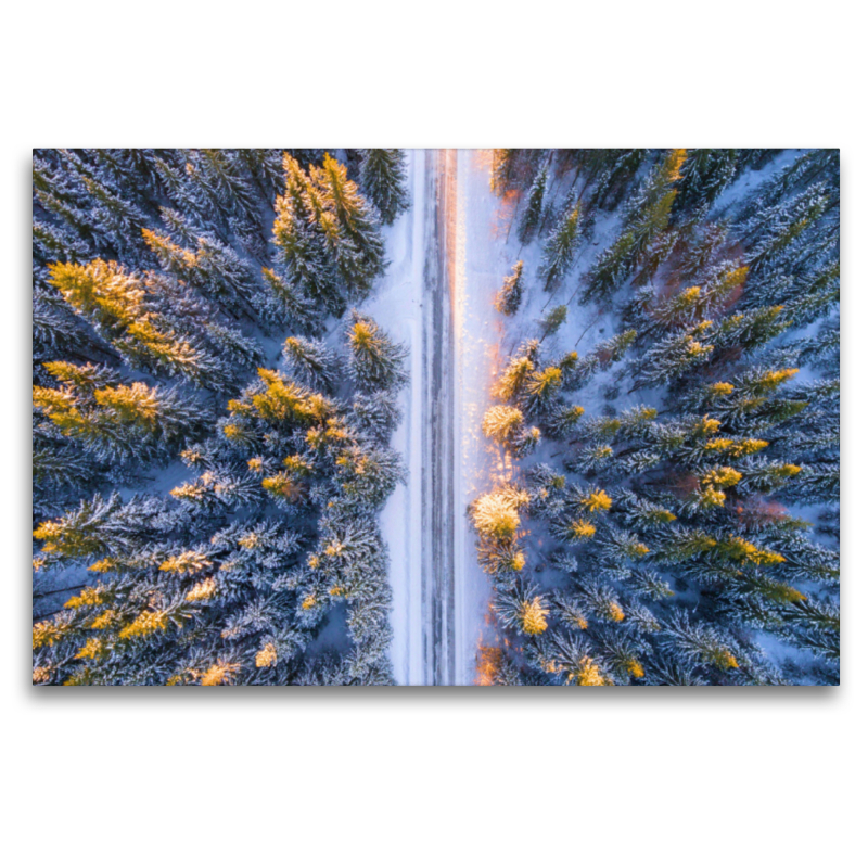 Winterwald im Morgenlicht aus der Vogelperspektive