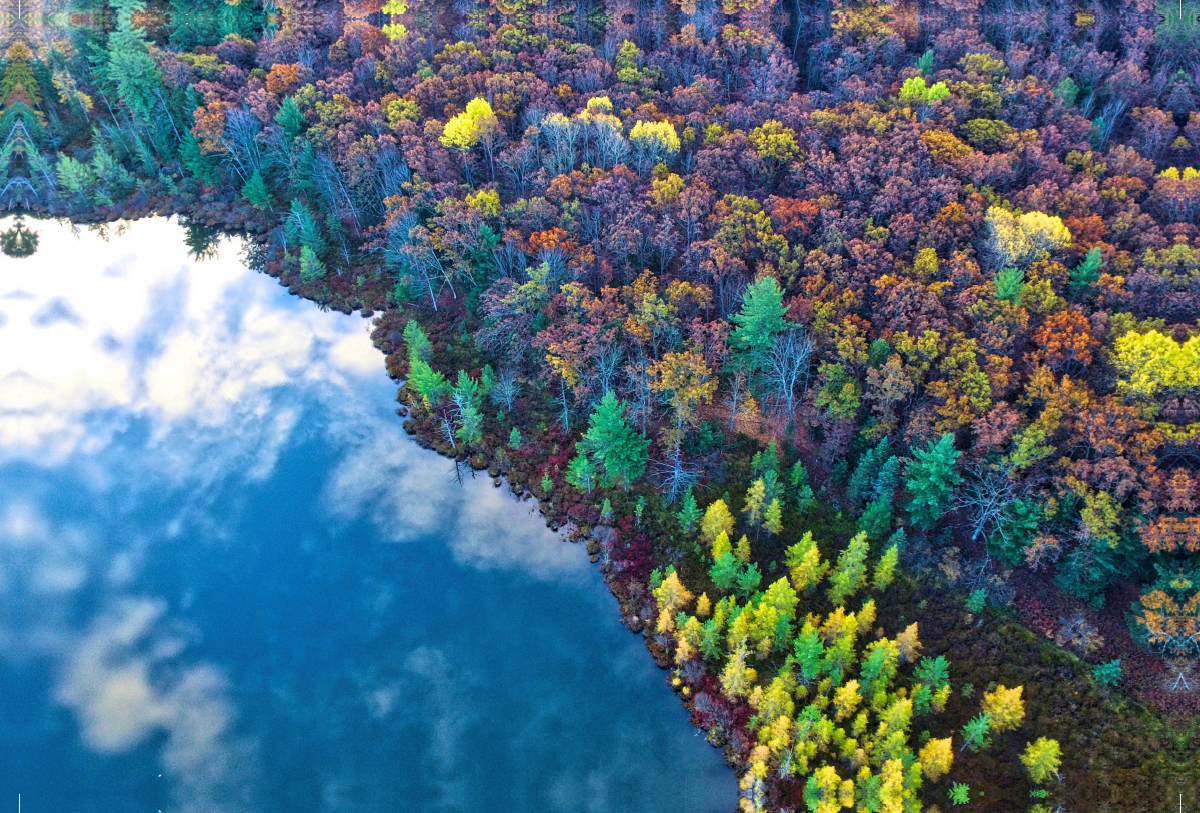 Herbstlicher Wald am Seeufer aus der Vogelperspektive