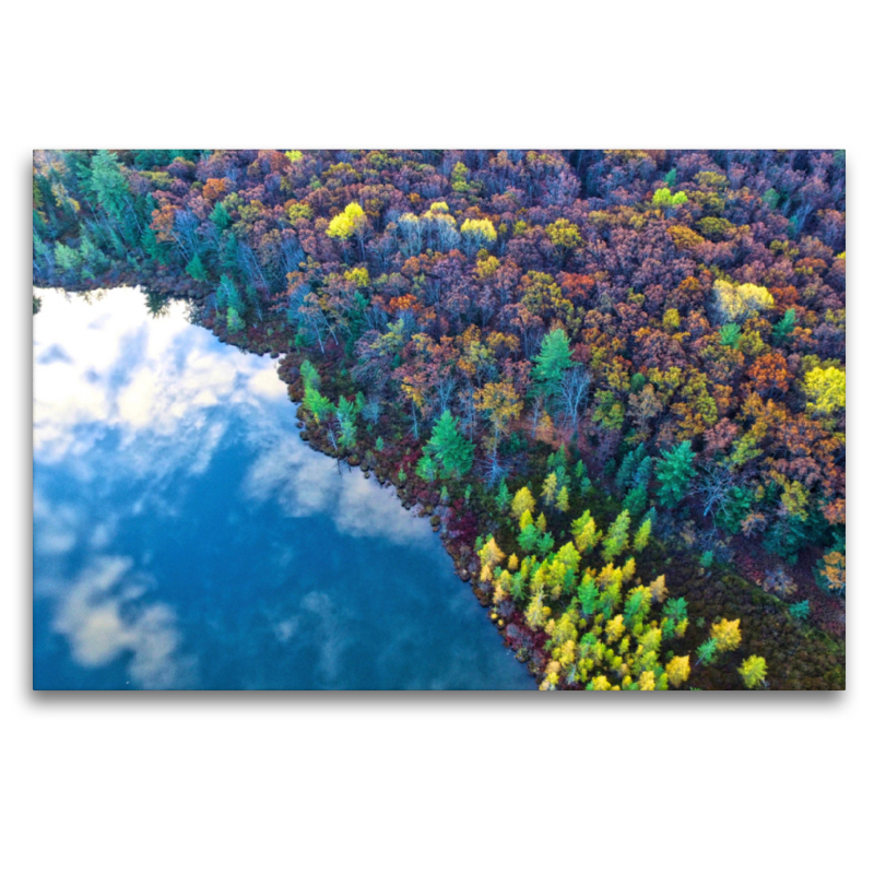 Herbstlicher Wald am Seeufer aus der Vogelperspektive