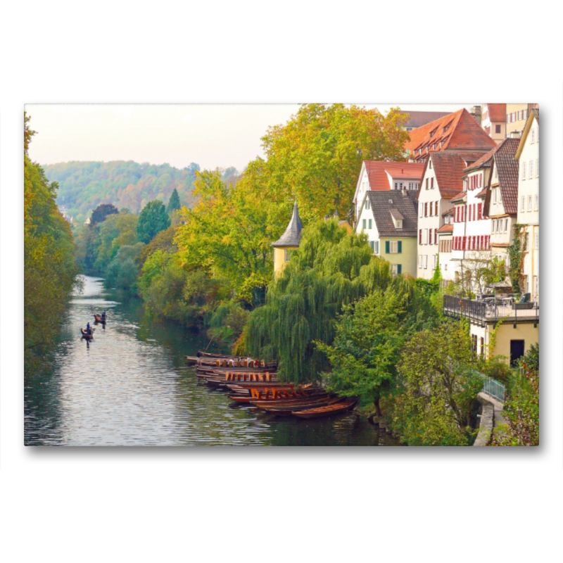 Tübinger Neckarfront mit Stocherkähnen im Herbst