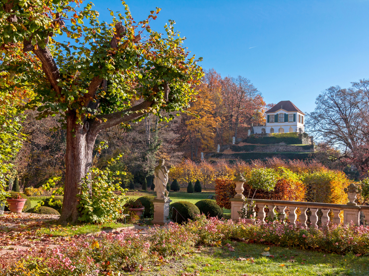 Herbst in Diesbar-Seußlitz