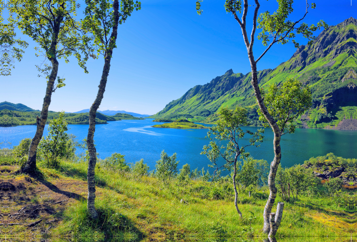 Panorama am Ytterfjord