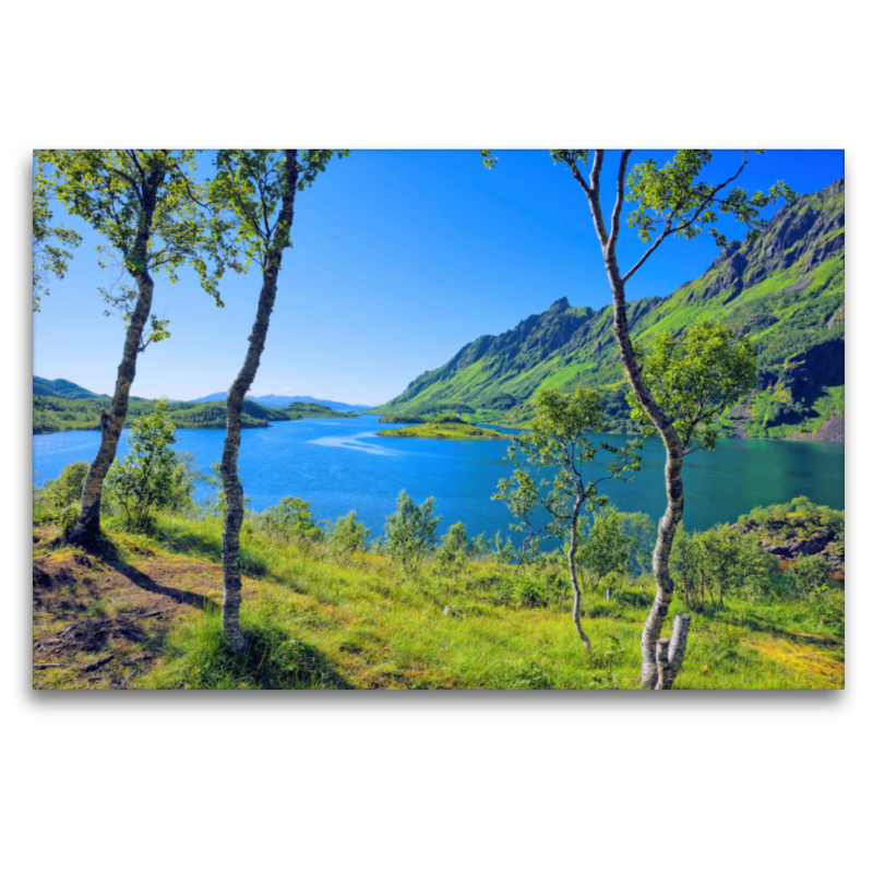 Panorama am Ytterfjord