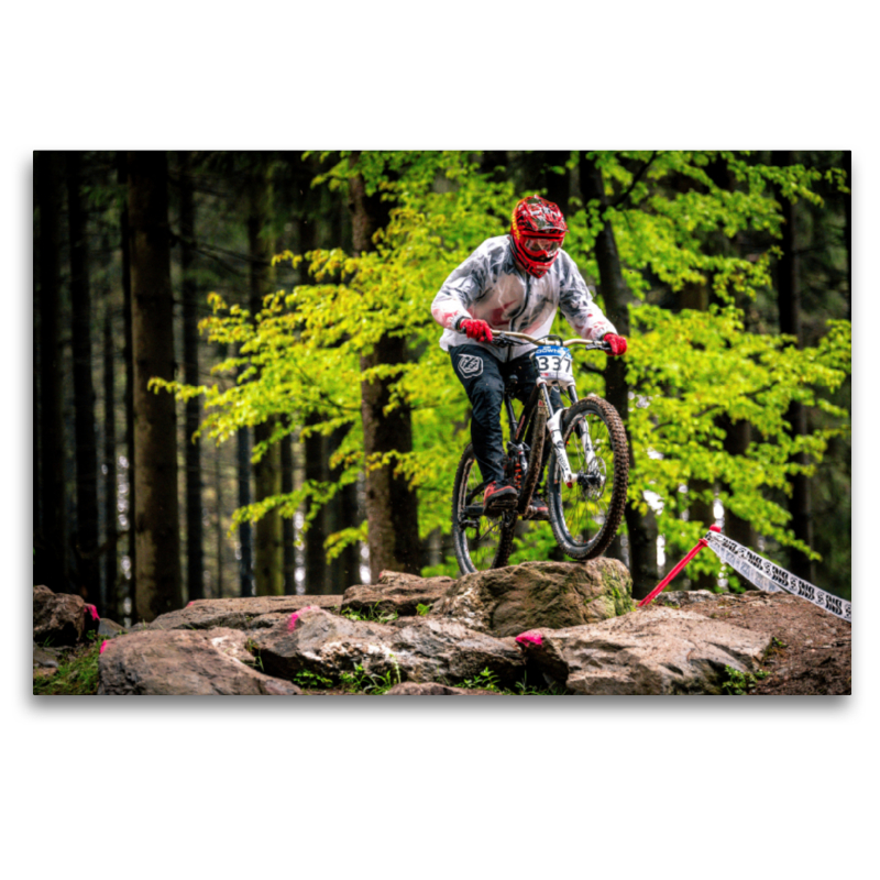 Ein Motiv aus dem Kalender MTB Downhill