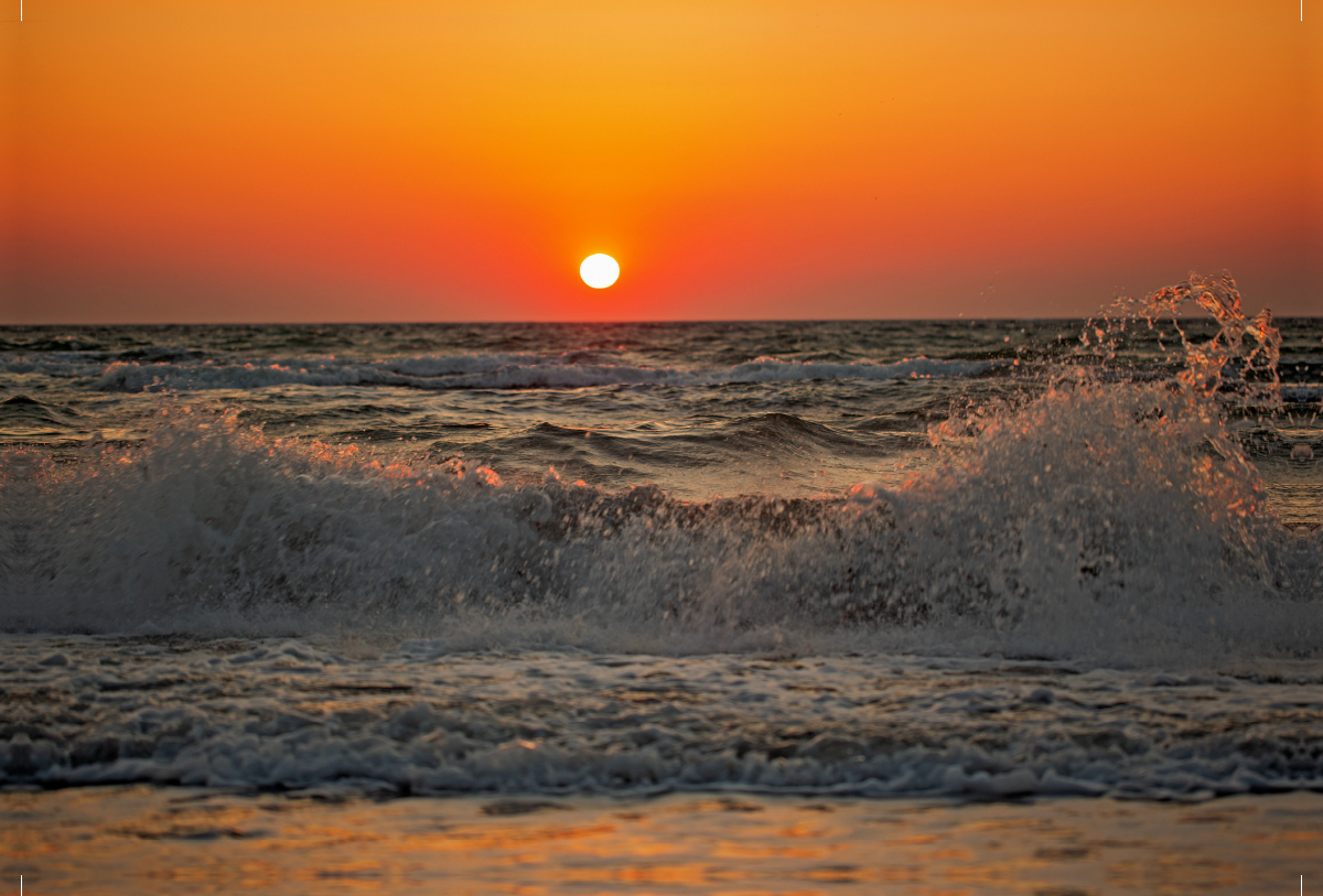 Ostsee - Natur pur